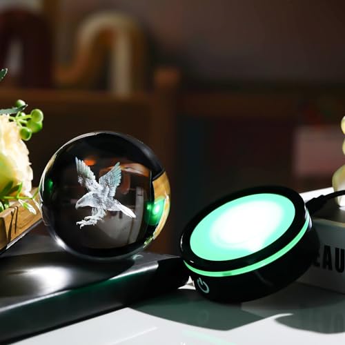 View 5
