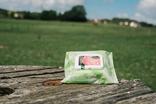 Easy Shine Wipe Lingettes nettoyantes RAVENE