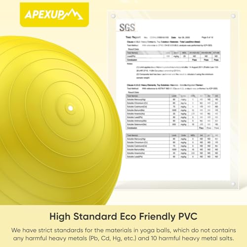 Image of APEXUP Yoga Ball, 660 lbs Anti-Burst Exercise Ball with Pump, 5 Sizes