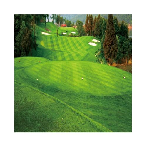 Toile de fond de golf haut de gamme 2,4x2,4 m décor paysage de studio