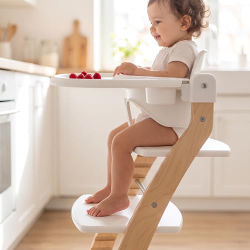 Image of Fornel Baby Set for 6-36 Months Babies with Backrest, Tray and Tray Cover to Convert The Fornel Chair into a Comfortable High Chair Includes Gliders and Harness