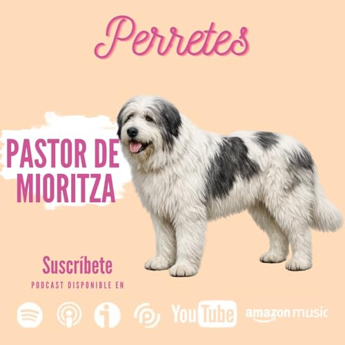 Ep:101 Pastor Mior&iacute;tico