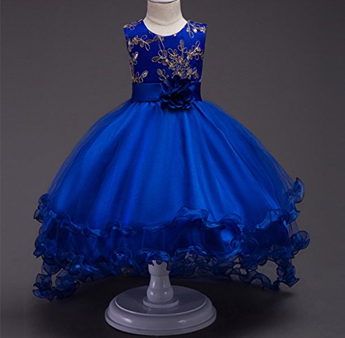 DreamHigh Gorgeous Girls' Princess Evening Party Long Tailing Dress up2