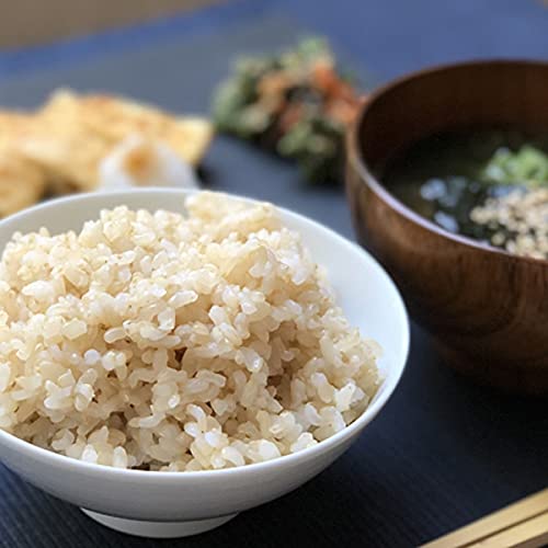 y\tz_ƒ2025NxYV  Y_ u_ߌāv kCYڂÂ () 5kg