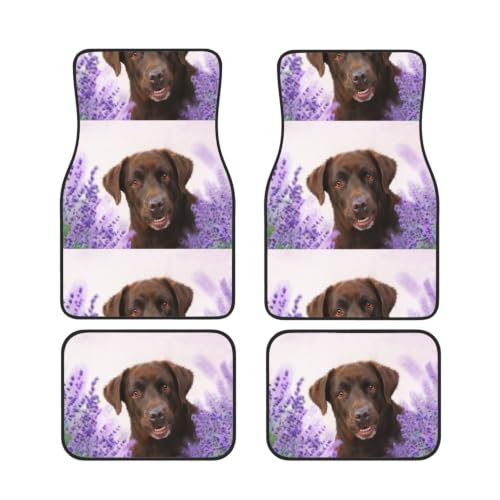 Alfombrillas de coche de Labrador marrón perfectas para viajes familiares y días de campo
