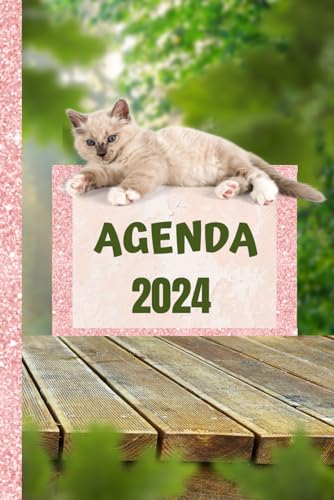 AGENDA 2024: Tout en couleur, thème chats avec illustrations et plages horaires de 7h à 19h, 194 pages