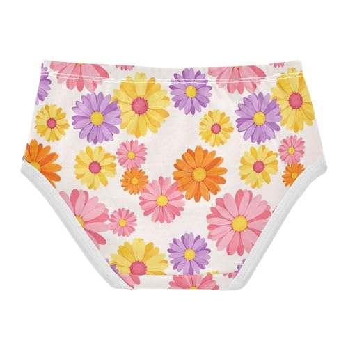 Toddler Girls Underwear 2t Cotton Panties for Girl Fun Kids Briefs Undies Colorful Daisy Flowers Pink Purple2
