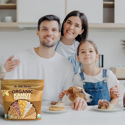 Be Still Farms Organic Kamut Wheat Berries Khorasan (5lb) - Ancient Whole Grain Bulk - Ideal for Flour, Paste, Salads, Soups - High in Fiber & Protein | USA Grown | USDA Certified | Vegan | Non-GMO