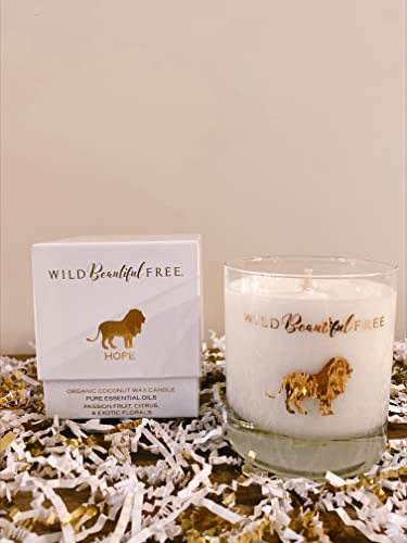 Citrus And Floral Organic Aromatherapy Candle With Pure Essential Oils For Energy And Motivation - Hope Lion Luxury Candle By Wild Beautiful Free #TOP3