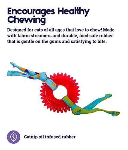 Catstages Dental Kitty Chew Wheel Catnip Cat Toy #TOP2