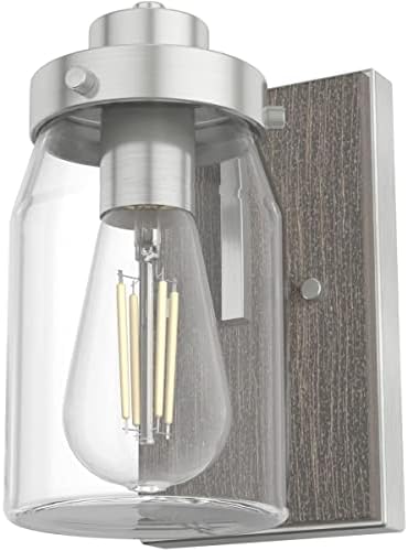 Hunter Fan Company 48016 Devon Park Wall Sconce, Medium, Brushed Nickel