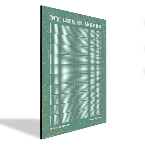 Blink Forward Track Your Life in Weeks – 11”x17” Life Calendar for Growth Mindset, Goal Setting & Intentional Living – Countdown Calendar & Habit Tracker – Premium Aluminum Wall Decor