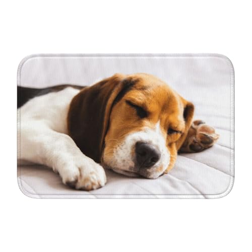 փ}bg Ăr[O Ck ʕ @}bg oX}bg ~ z  C}bg  킢 z  h Ɩp ƒp 40×60cm