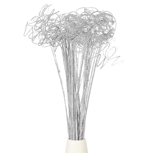 PATIKIL Glitter Curly Branch, 60 Pcs Natural Dried Willow Branches