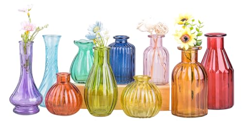 Eleganttime Bud Vases for Flowers,Glass Colored Bud Vase in Bulk Set of 10,Small Vintage Vase Bottle for Wedding Decorations,Garden and Home Decor,Centerpieces,Colorful Mexican Décor