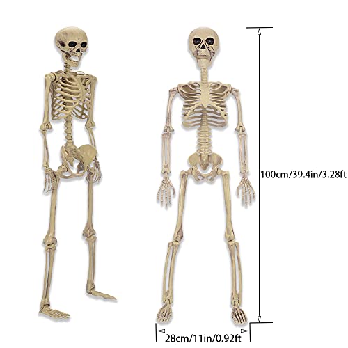 HBSTK 2 Pack 40 Inches Halloween Skeleton Full Body Posable Movable Jonints for Halloween Decoration Décor2