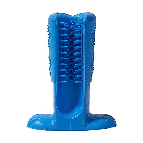 Dental Truqys Grande-Azul