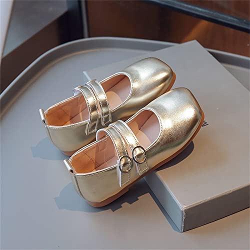 Girls Dress Shoes Glitter Princess Shoe Toddler Little Kid Mary Jane Ballet Flat Shoes Cute Closed Toe Gracy Ballet Shoe4