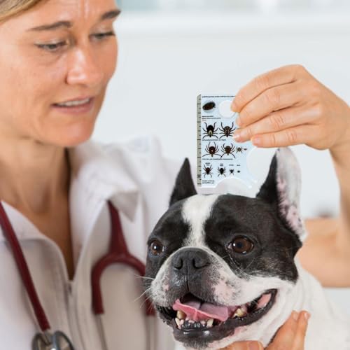 Zeckenkarte Mensch, Zeckenkarte Für Menschen, Zeckenpinzette Für Hunde, Zeckenentferner Für Katzen, Ermöglicht Einfaches Entfernen Von Zecken, Zeckenentferner Für Hunde Und Katzen, 8,5 X 5,4 X 0,1 Cm