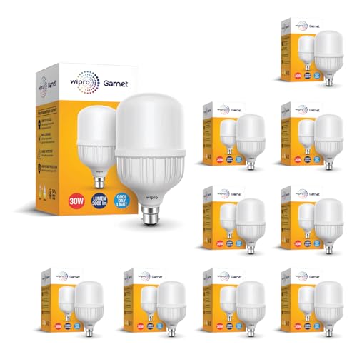 Garnet 30W LED Bulb Pack of 10