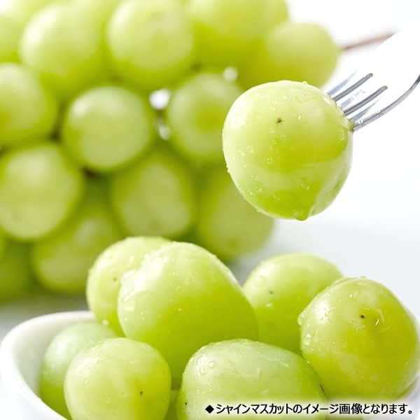 山形県産 ご家庭用 ぶどう シャインマスカット 5kg (訳あり/6-12房入り/クール冷蔵便) 訳あり ぶどう ブドウ 葡萄 山形 産地直送 果物 フルーツ お取り寄せ