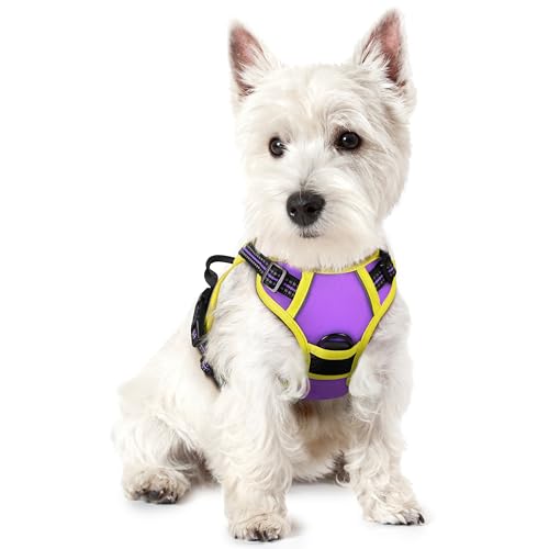 Image of rabbitgoo Dog Harness No Pull with 2 Leash Clips, Adjustable Soft Padded, Reflective Oxford No Choke Pet Vest with Easy Control Handle for Puppy, Purple & Yellow, XS
