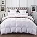 All Season Luxury White Comforter Duvet Quilt  Soft Breathable  Cotton Cover Custom Size Duvet Cover Filler Insert_Queen : 200 * 230cm,4KG