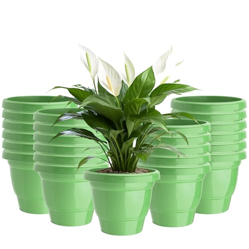 Image of Kuber Industries (Pack of 24) Flower Pot | Pots for Terrace, Garden (6 Inch) 2-Layer Fuldani Flower Pot | Pots Stand for Plants | Phooldaan for Home D?cor | Synergy Indoor Plant Stand | Green