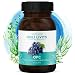 Produktbild Holi Livits | 100% OPC Traubenkernextrakt hochdosiert 120 Kapseln  Hochwirksame Antioxidantien für Ihre Gesundheit RABATTAKTION Gratis Vitamin C
