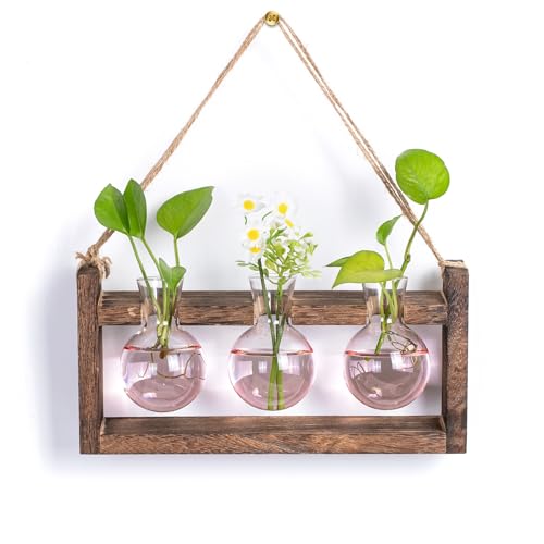 Walasis Plant Propagation Station with Wood Stand - Wall Glass