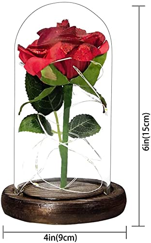 https://m.media-amazon.com/images/I/41Quv1yKCEL.jpg