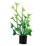 Hobby Cardamine, Mini