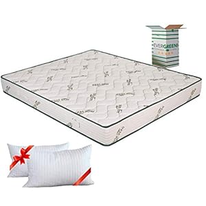 Evergreenweb – Materasso Matrimoniale 160×190 in Waterfoam Ortopedico Alto 20 cm + 2 Cuscini Memory Foam Gratis, Rivestimento Oli Essenziali ALOE VERA, Tessuto Antiacaro x Tutti Letti e Reti Offerta