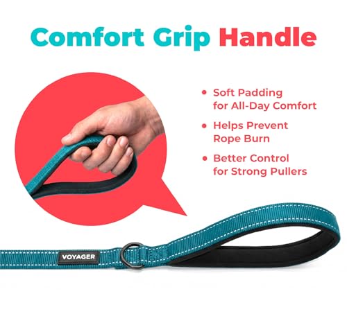 Image of Best Pet Supplies Voyager Reflective Dog Leash or Collar with Neoprene Handle, for Small, Medium, and Large Breed Puppies, Cute and Heavy Duty for Walking, Running and Training - Turquoise (Leash), L