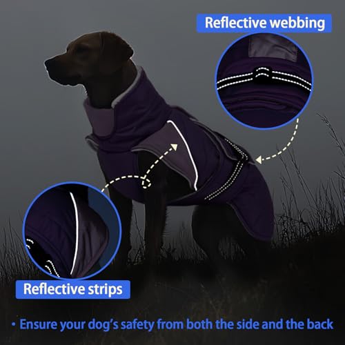 Image of MIGOHI Dog Winter Coat - Reflective Medium Dog Snow Jacket with Thick Turtleneck,Windproof Pet Fleece Vest, Cold Weather Coat for Medium Dogs, Snowproof for Hiking,Camping,L,Purple