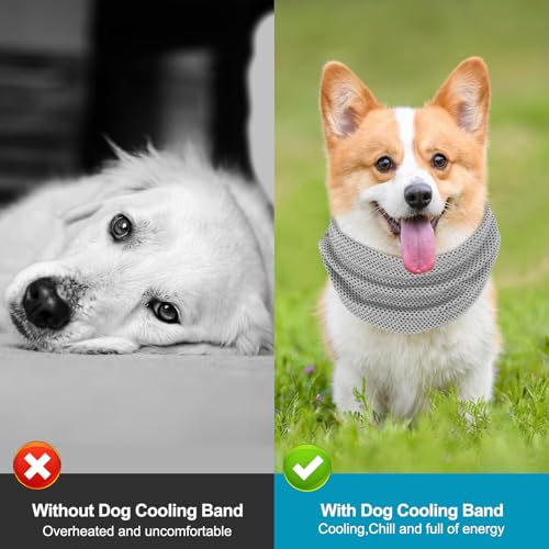 Kühlhalsband für Hunde, Hunde halstücher Kühlend, Hundehalsband Kühlend, Kühlendes Hundehalsband, Geeignet für Kühlhunde im Sommer, 45 x 13 cm