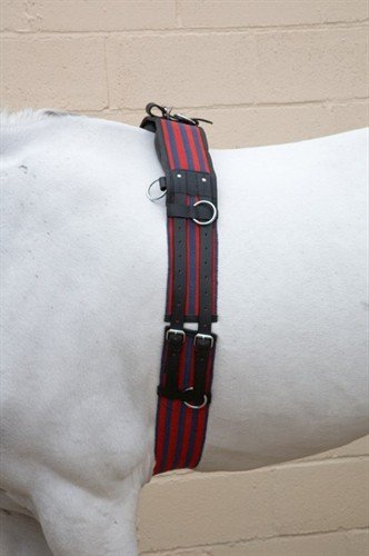 William Hunter EquestrianWilliam Hunter Equestrian Hy Training Roller - cob - Blue/red