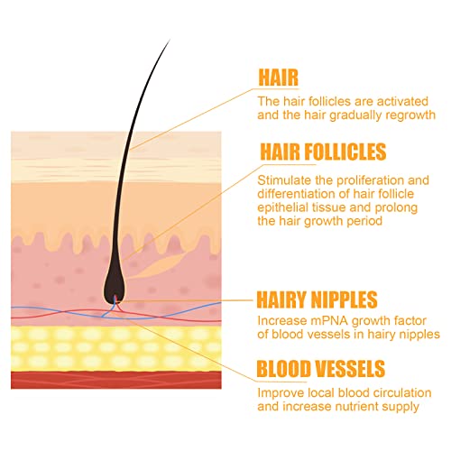 500Ml Ginaday Instant Ginger Hair Regrowth Shampoo, Ginaday Shampoo, Ginger Shampoo For Hair Growth, Ginger Shampoo Hair Thickening Shampoo, Anti-Hair Loss (Shampoo) #TOP5
