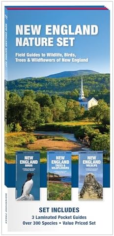 best bird field guide for new england that will change your birdwatching game 5 New England Nature Set: Field Guides to Wildlife, Birds, Trees & Wildflowers of New England (Nature Observation North America)