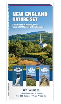 best bird field guide for new england that will change your birdwatching game 2 best bird field guide for new england