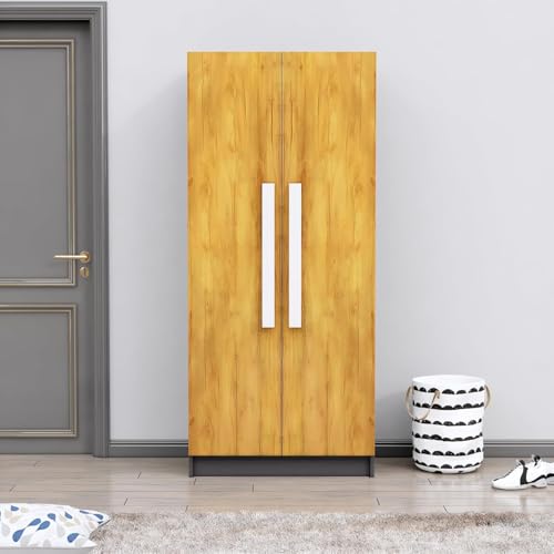 Image of Bniture 2 Door Wardrobe for Bedroom | Almirah for Clothes with 4 Shelves | Spacious Storage Cupboard for Bedroom | Wooden Wardrobe (46D x 80W x 182H CM) | 3 Years Warranty | Slate Grey & Giant Wood