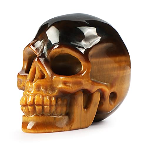 Artistone 2''Tigers Eye Crystal Skull Head Statue Decor,Hand Carved Gemstone Quartz Human Skull Figurine Sculpture Healing Stones for Closet,Fireplace,Home Decoration