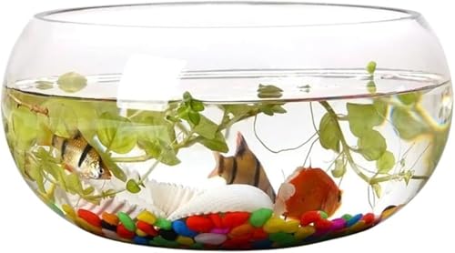 AOBOPO 金魚鉢 透明ガラス水槽:360° 全視野角、広口設計でお手入れ簡単、多用途に活用可能