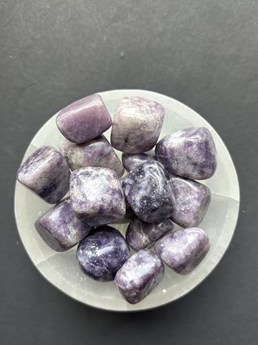 Image of Tumbled Stones, Natural Crystal Healing Stones, Home Office Decor, Aquarium Decorative Pebbles, Vase Fillers (Lepidolite, 50)