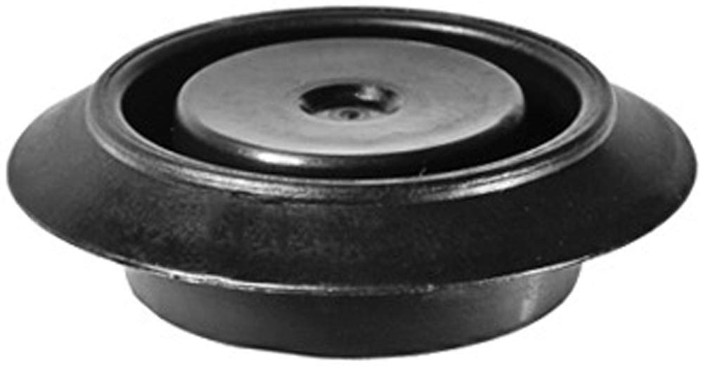 Amazon.com: 25 Hole Plugs For Nissan 80874-AX000 Infiniti