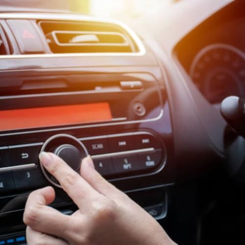 &iquest;se puede vivir sin Radio?