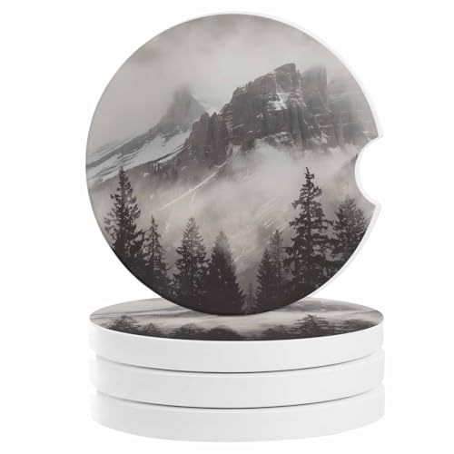 National Parks Car Coasters Set of 4