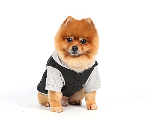 Doggy Dolly W109 Hundejacke Wasserabweisend mit Kapuze, schwarz/grau, Wintermantel/Winterjacke, Größe : S