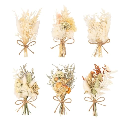 6 Ramilletes de Flores Secas de Colores Mixtos para Decoración