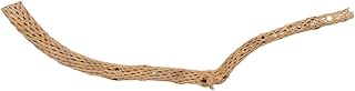 Vickerman CHOLLA, Natural, 42-47" Piece, Dried